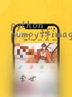 python numpy转image