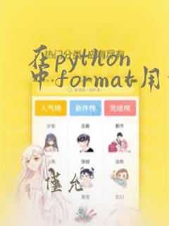 在python中format用法