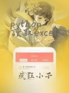 python 读取excel公式