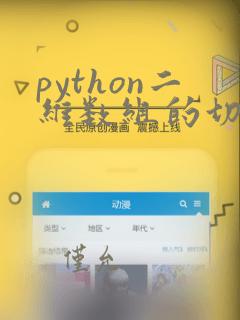 python二维数组的切片