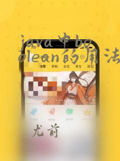 java中boolean的用法举例
