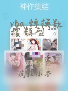 vba 转换数据类型