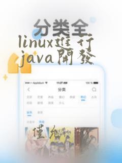 linux进行java开发