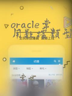 oracle常用数据类型
