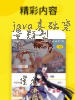 java基础变量类型