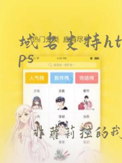 域名支持https