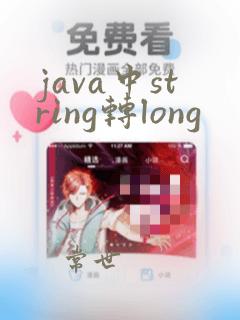 java中string转long