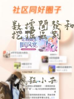 数据开发和数据挖掘区别
