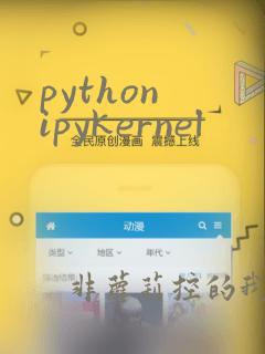 python ipykernel
