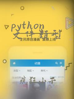 python 文件类型