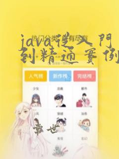 java从入门到精通实例版