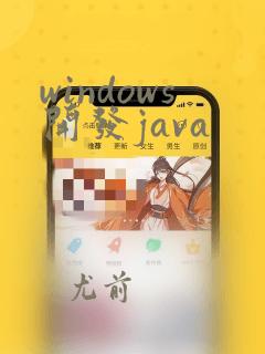 windows开发java