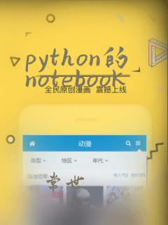 python的notebook