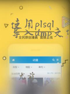 使用plsql导入dmp文件