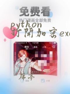 python 打开加密excel