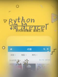 python 调用excel
