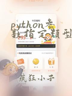 python参数指定类型