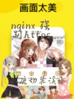 nginx 强制https