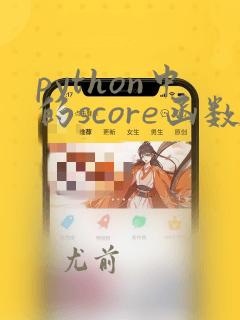 python中的score函数
