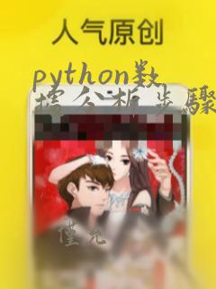 python数据分析步骤