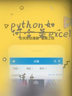 python如何合并excel
