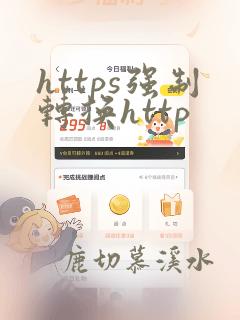 https强制转换http