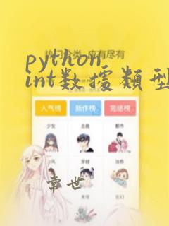 python int数据类型