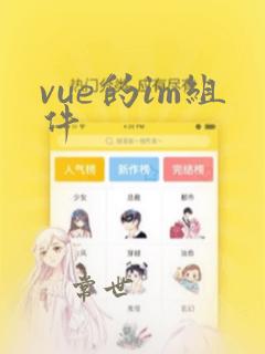 vue的im组件