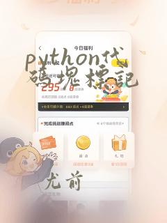python代码块标记