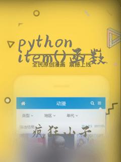 python item()函数