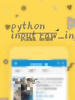 python input raw_input