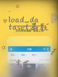load_dataset函数
