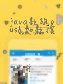java数组push加数据