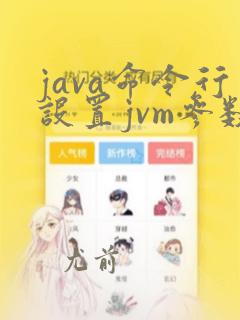 java命令行设置jvm参数