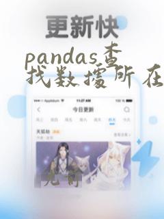 pandas查找数据所在位置