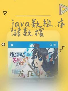 java数组存储数据