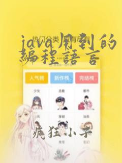 java用到的编程语言
