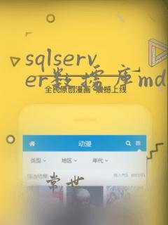 sqlserver数据库mdf文件过大
