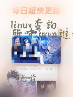 linux查询所有java进程