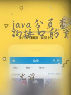 java分页查询接口的实现