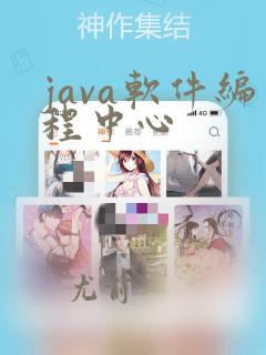 java软件编程中心