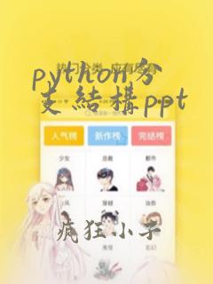 python分支结构ppt