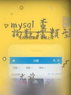 mysql 查询数据类型