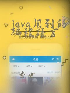 java用到的编程语言