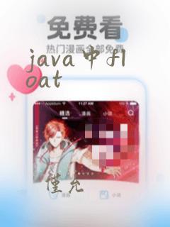 java中float