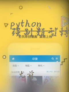 python 强制类型转化