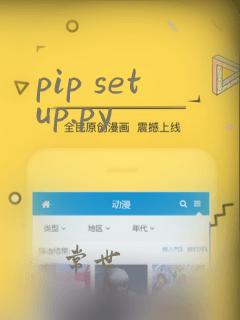 pip setup.py