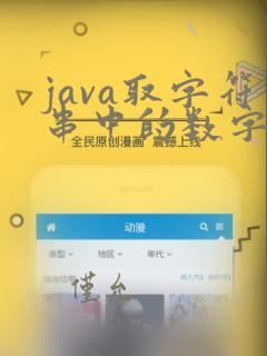 java取字符串中的数字