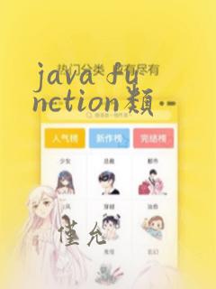 java function类