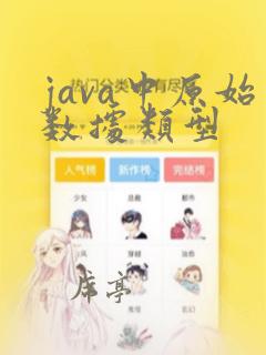 java中原始数据类型